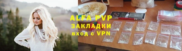 дживик Белокуриха