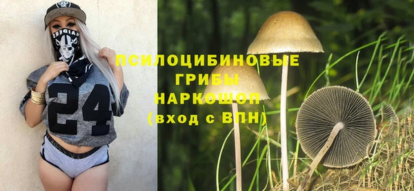 трава Балахна